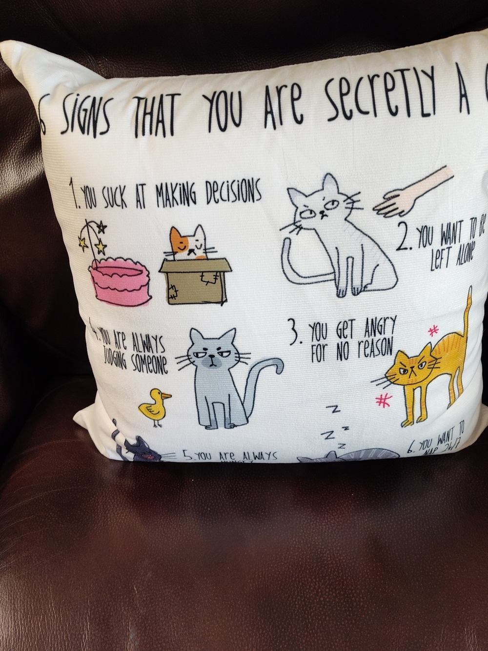 Cat Humor Decorative Throw Pillow - White 18x18